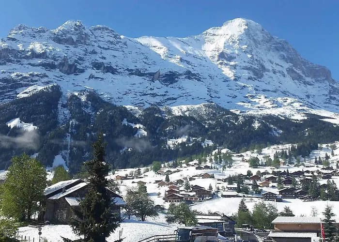 Apartment Stotzhalten 2.5 - Griwarent Ag Grindelwald